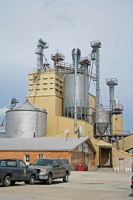 Grain Drier