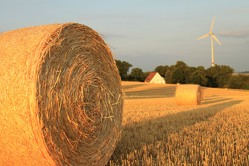 Round Hay Bale