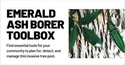 Emerald Ash Borer Toolbox