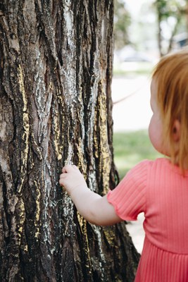 Chalk Tree Art 3