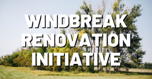 WINDBREAK RENOVATION INITIATIVE