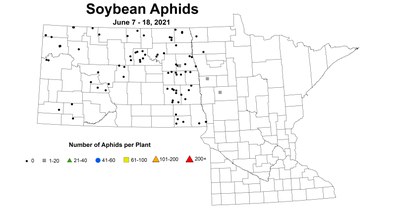 soybeanAphidNumber 6.7 6.18