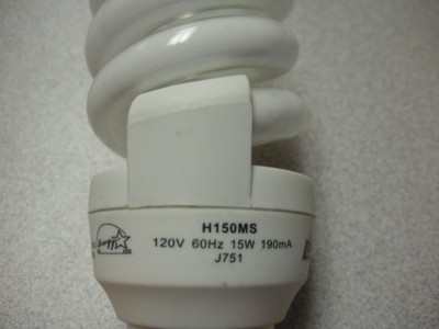 CFL bulb