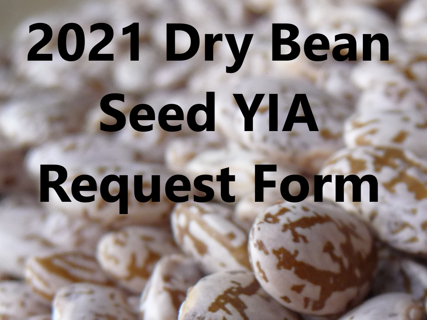 2021 YIA Dry Bean Seed Request Form