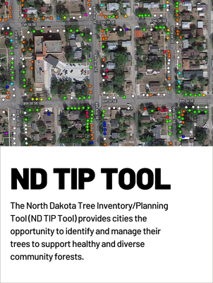 ND TIP Tool