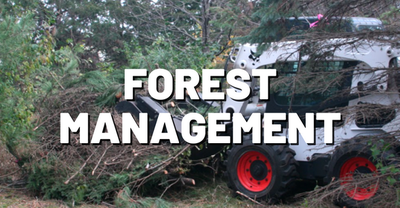 Forest Management