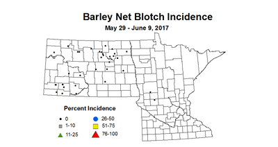 barley nbi 2017 5 29 6 9