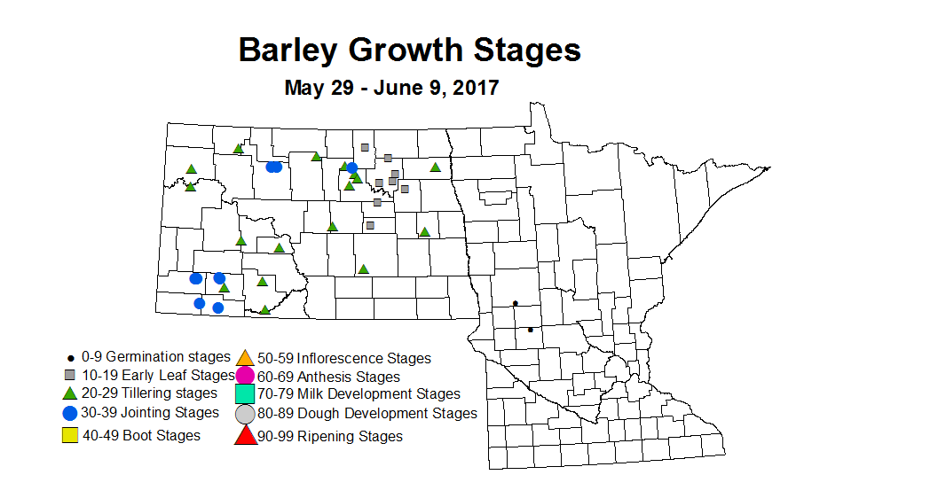 barley zgs 2017 5 29 6 9