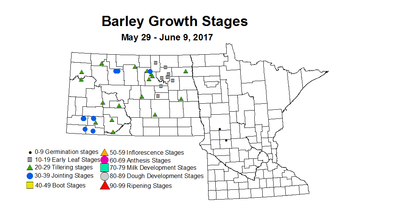 barley zgs 2017 5 29 6 9
