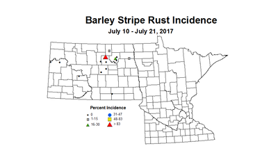barley stripeRust 7 10 7 21 2017