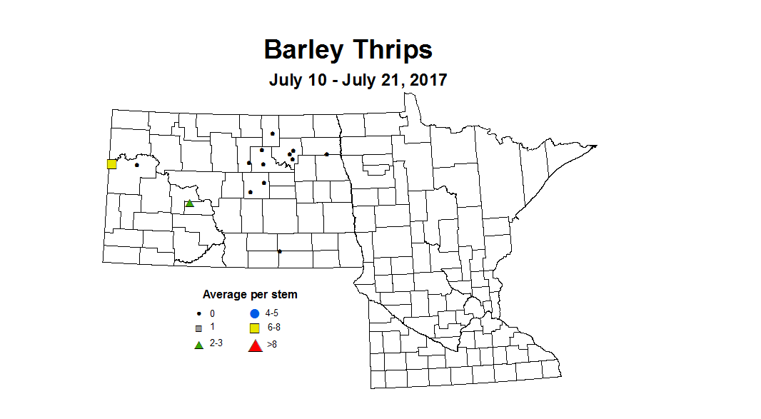barley thrips 7 10 7 21 2017