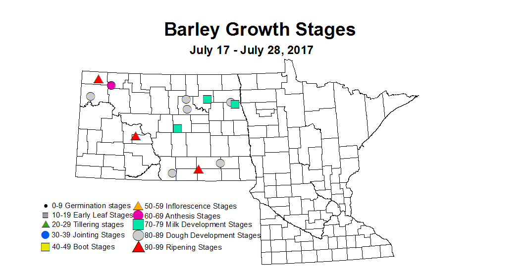 barley zgs 7 17 7 28 2017