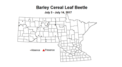 barley CLBstm 7 3 7 14 2017