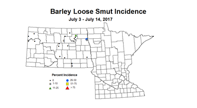 barley LSI 7 3 7 14 2017