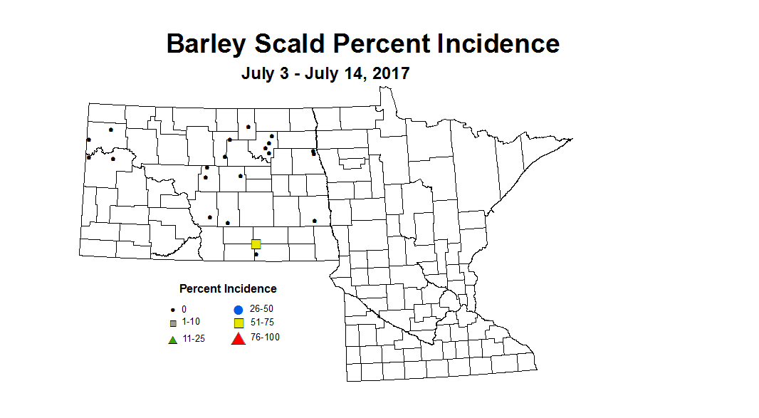 barley scaldI 7 3 7 14 2017