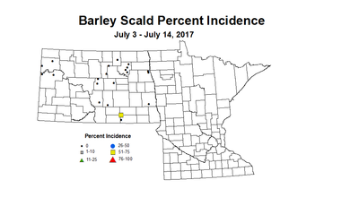 barley scaldI 7 3 7 14 2017