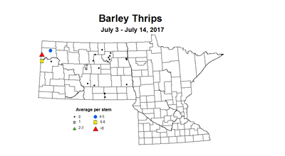 barley thripsstm 7 3 7 14 2017
