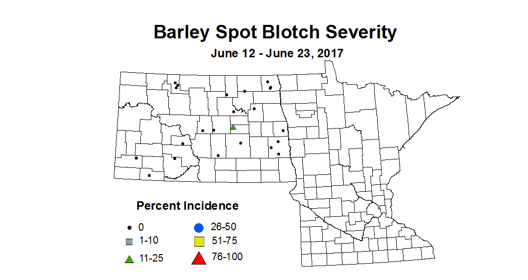 barley SBSV 6 12 6 23