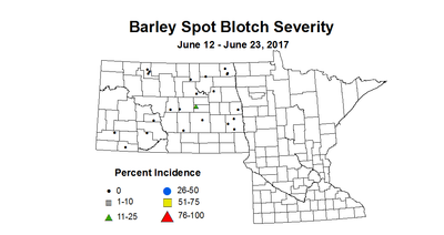 barley SBSV 6 12 6 23