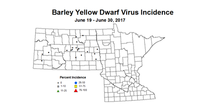 barley BYDVI  6 19 6 30