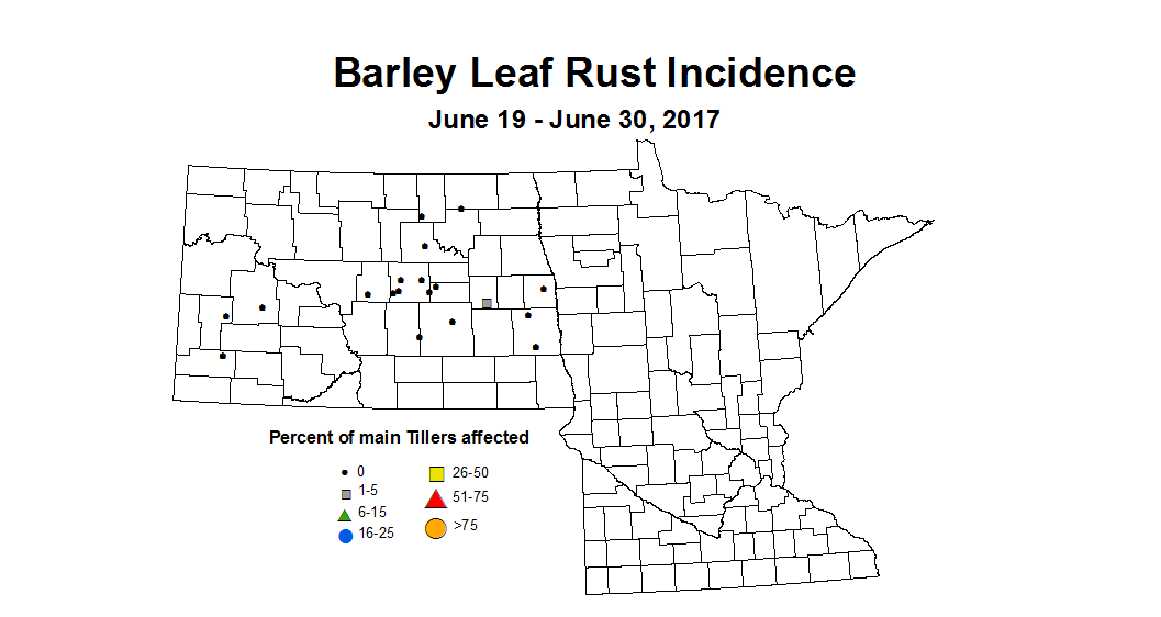 barley LRI  6 19 6 30