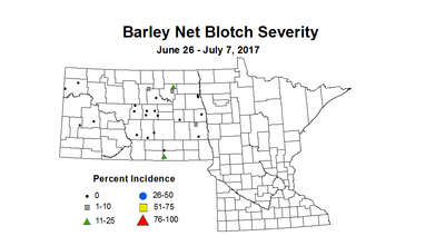 barley NBSV 2017 6 26 7 7