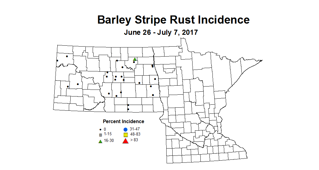 barley strpRust 2017 6 26 7 7