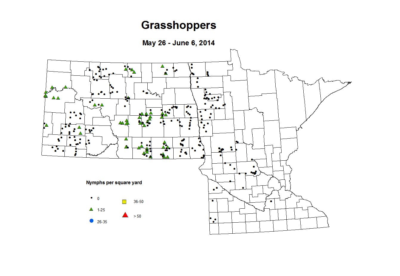 5 26 6 6 Grasshopper Nymphs