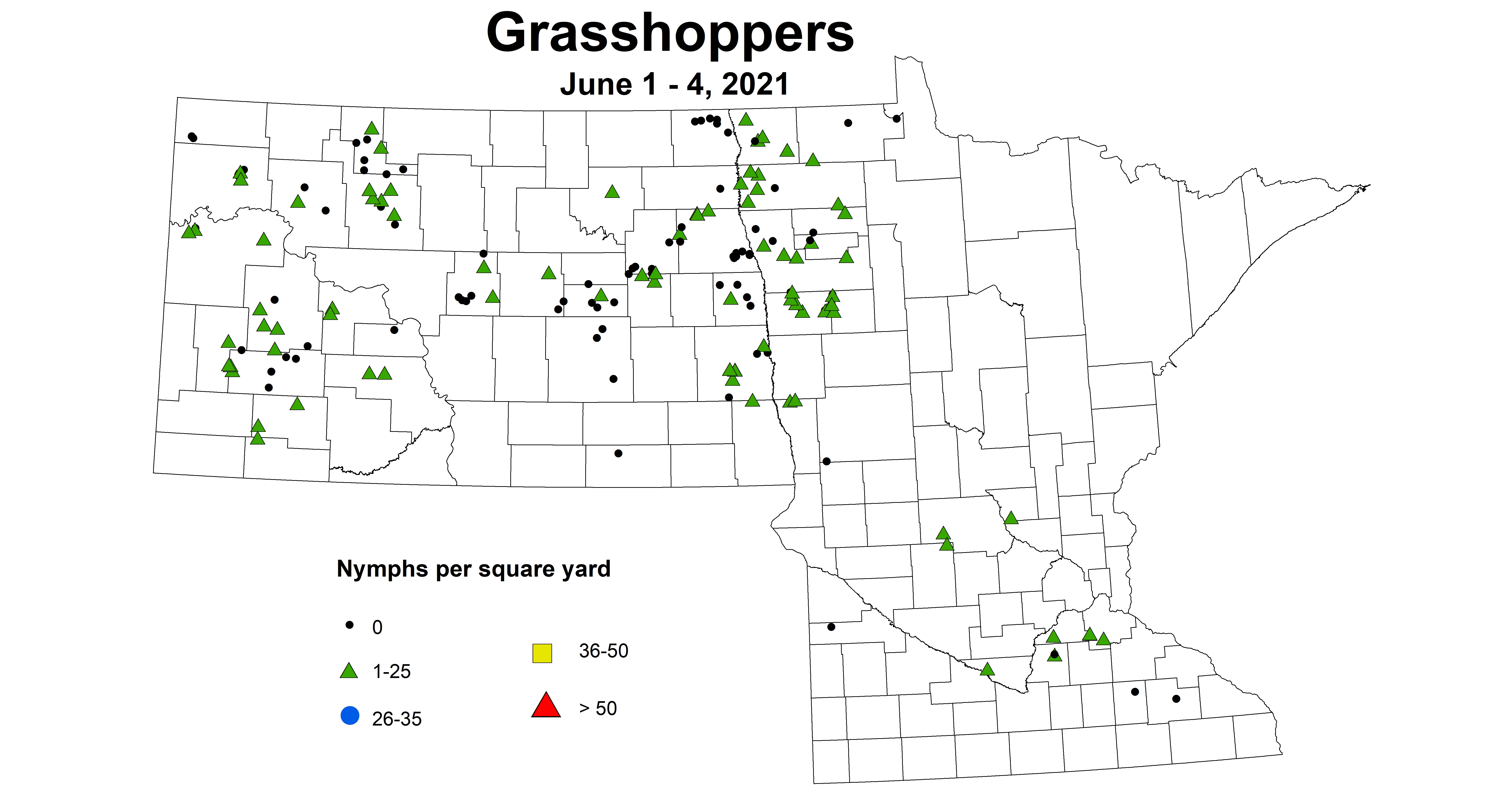 grasshoppersNymphs6.1 6.4