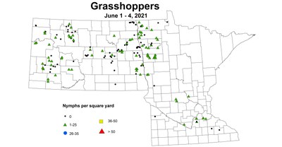 grasshoppersNymphs6.1 6.4