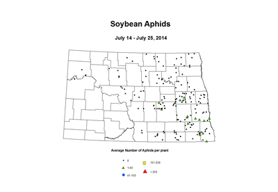 7 14 7 25 Soybean Aphids Average Per Plant