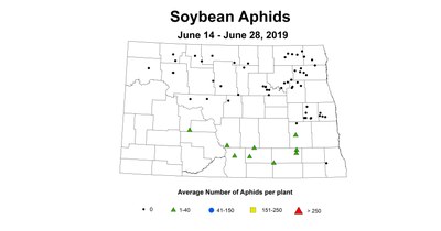 soybean avgAphid