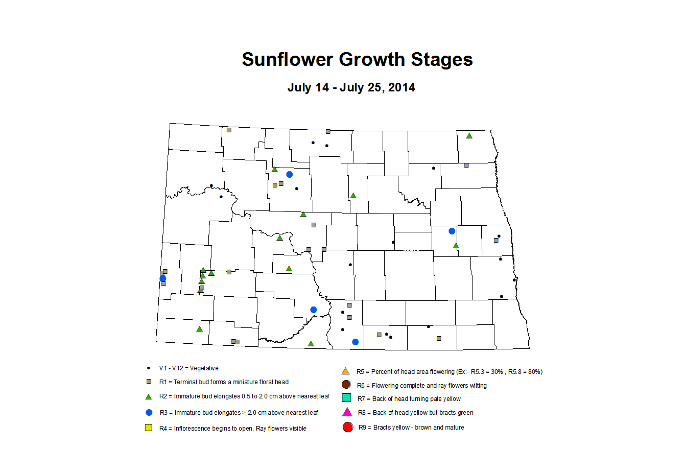 7 14 7 25 Sunflower ZGS
