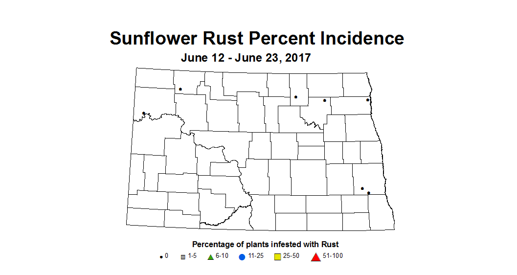 sunflower srustInc 6 12 6 23 2017