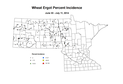 6 30 7 11 Wheat EG Inc