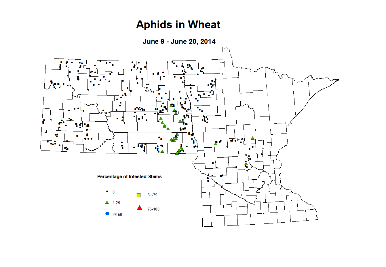 6 9 6 20 Wheat Aphid Tillers