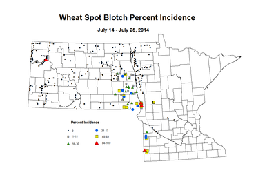 7 14 7 25 Wheat SB Inc