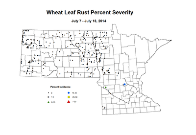 7 7 7 18 Wheat LR Sev