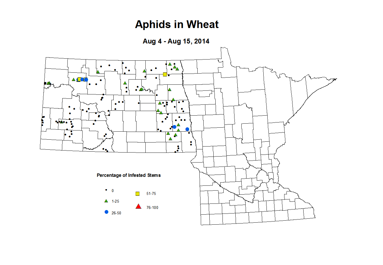 8 4 8 15 Wheat Aphid Tillers