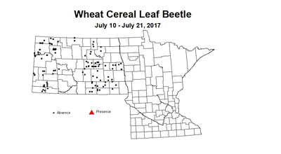 wheat CLB 7 10 7 21 2017