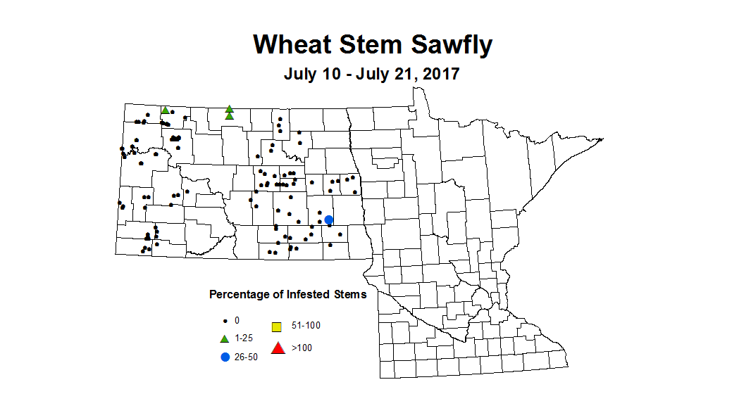 wheat sawfly 7 10 7 21 2017