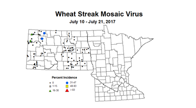 wheat wsmvi 7 10 7 21 2017