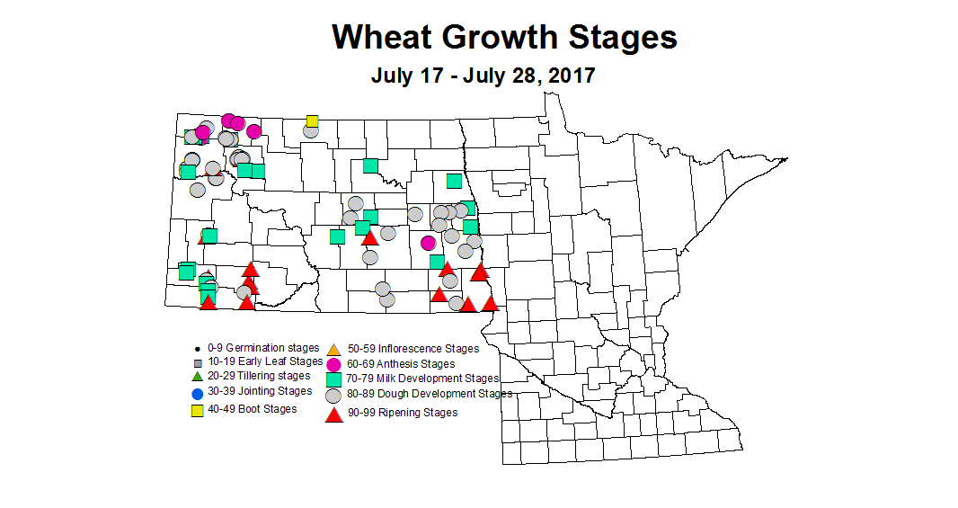 wheat zgs 7 17 7 28 2017