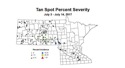 wheat TSSV 7 3 7 14 2017