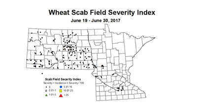 wheat scab 6 19 6 30