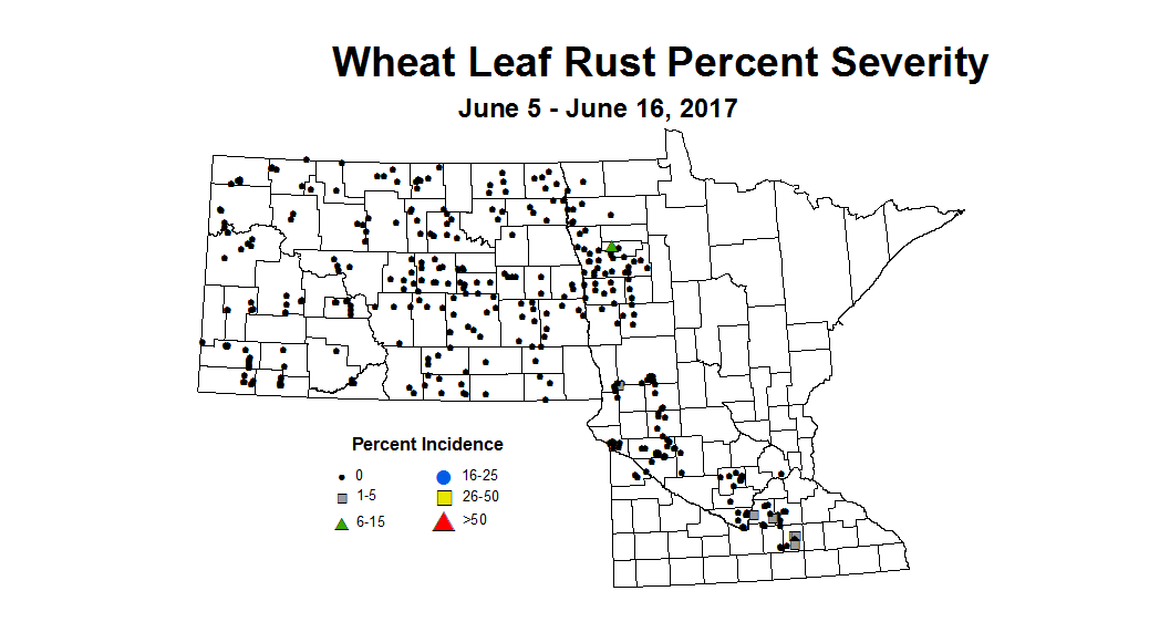 wheat LRSV 6 5 6 16 2017