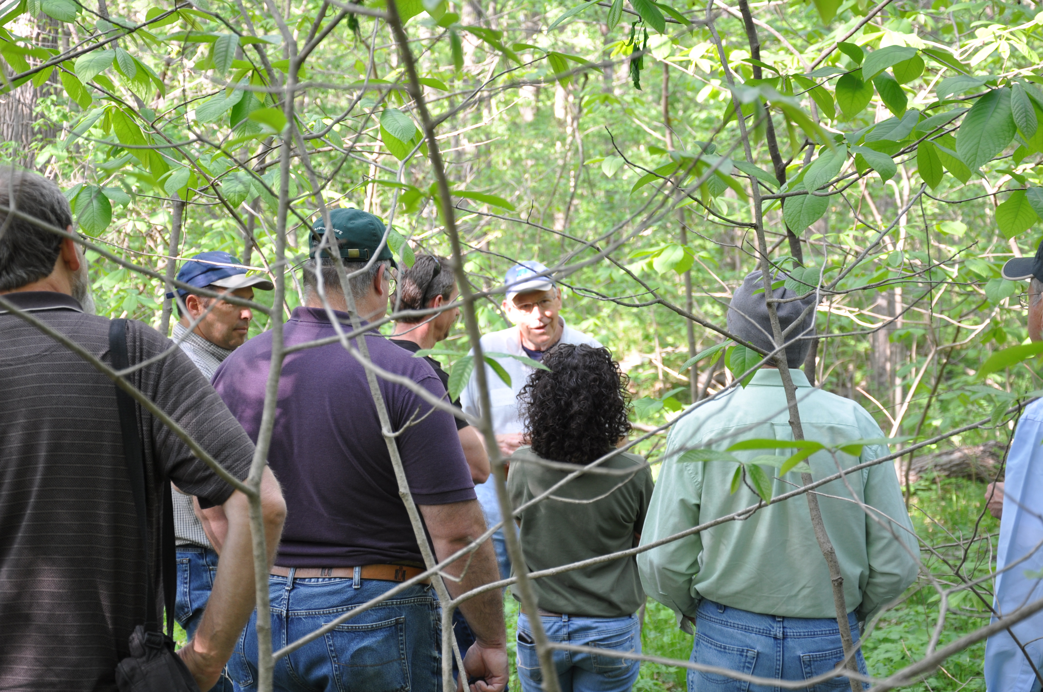 GPTPC in KS forest