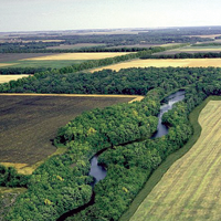 Riparian Forest Buffer