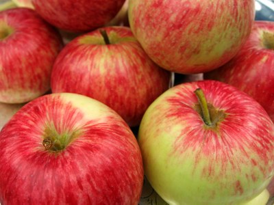Heirloom apples