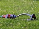 Sprinkler Lawns require irrigation to stay green in summer.